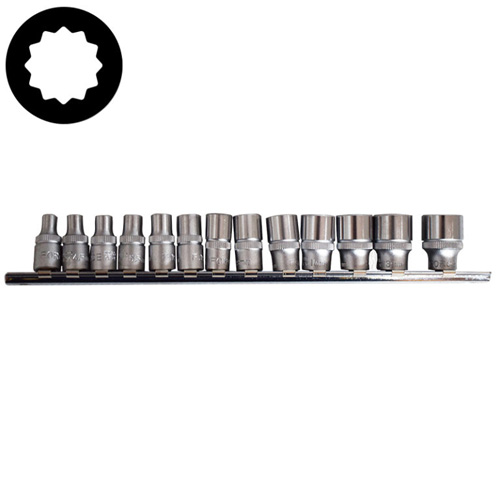 13pc 1/4 12pt. Flank Socket Set