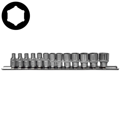 13pc 1/4 6pt. Flank Socket Set